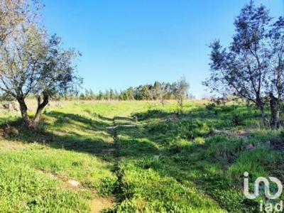 Acheter Terrain 27508 m2 Lourinha