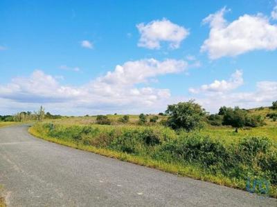 Annonce Vente Terrain Alcoentre