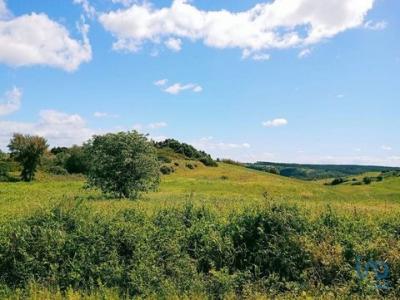 Acheter Terrain 4640 m2 Alcoentre