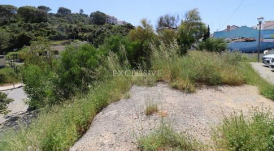Annonce Vente Terrain Lagoa