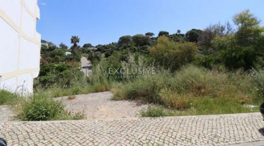 Acheter Terrain 304 m2 Lagoa