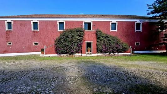 Acheter Maison 5000 m2 Mafra