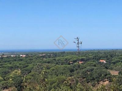 Annonce Vente Terrain Grandola