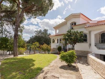 Vente Maison Palmela  15