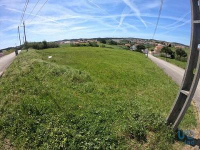 Acheter Terrain 2896 m2 Torres-vedras
