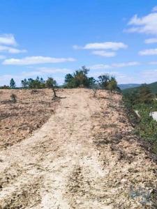 Annonce Vente Terrain Tavira