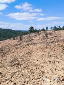 Acheter Terrain 6002 m2 Tavira