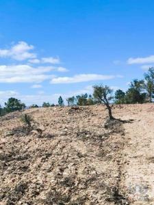 Acheter Terrain Tavira rgion FARO