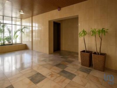 Vente Appartement Aveiro ESGUEIRA 01
