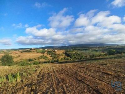 Acheter Terrain 3680 m2 Cadaval