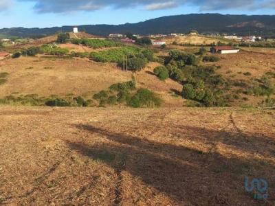 Acheter Terrain Cadaval rgion LISBOA