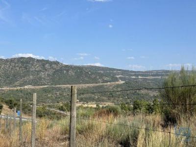 Acheter Terrain 32767 m2 Celorico-da-beira