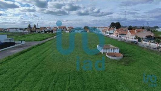 Annonce Vente Terrain Montijo
