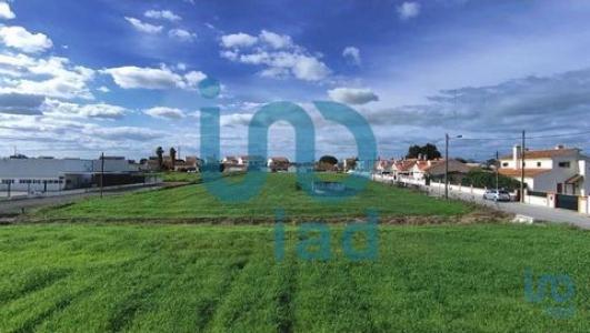 Acheter Terrain Montijo rgion SETUBAL