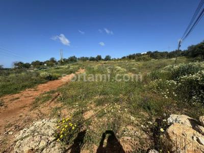 Acheter Terrain 4332 m2 Silves