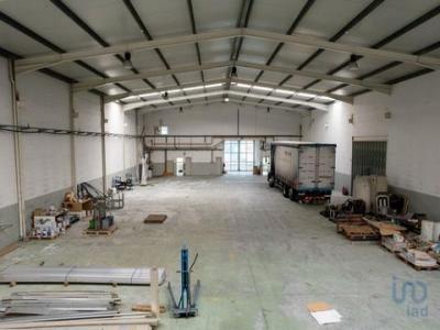 Annonce Location Local commercial Costa-nova-do-prado