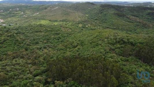Acheter Terrain 4880 m2 Ferreira-do-zezere