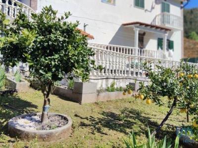 Acheter Maison Pedrogao-grande rgion LEIRIA