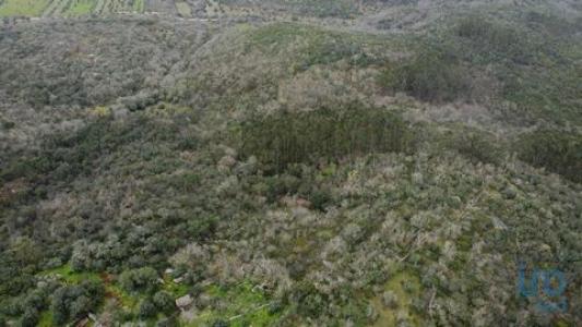 Acheter Terrain Ferreira-do-zezere rgion SANTAREM