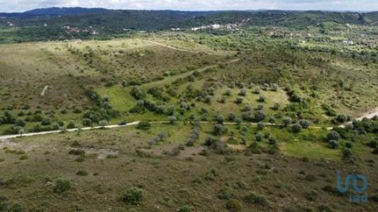 Annonce Vente Terrain Ferreira-do-zezere