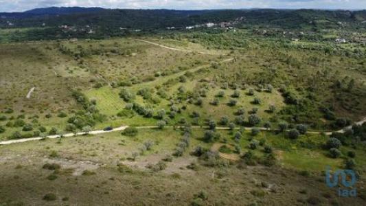 Acheter Terrain 10480 m2 Ferreira-do-zezere