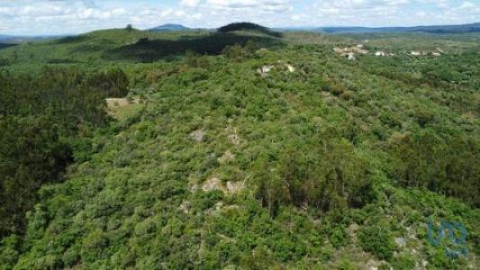 Annonce Vente Terrain Ferreira-do-zezere