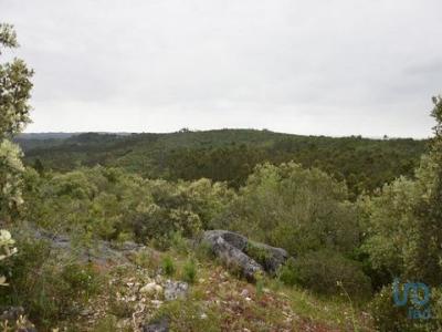 Acheter Terrain 15040 m2 Ferreira-do-zezere