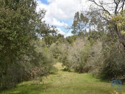 Acheter Terrain Ferreira-do-zezere rgion SANTAREM