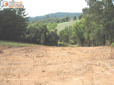 Annonce Vente Terrain Caldas-da-rainha