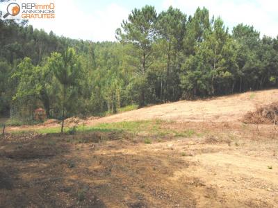 Acheter Terrain Caldas-da-rainha