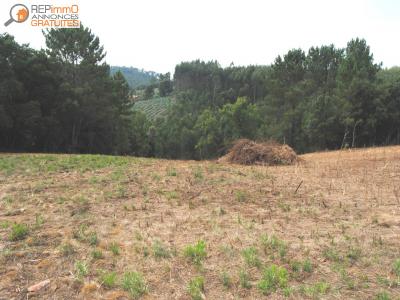Acheter Terrain Caldas-da-rainha rgion LEIRIA