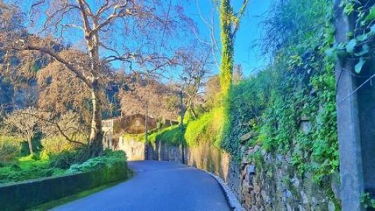 Acheter Maison Sintra rgion LISBOA
