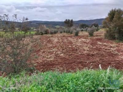 Acheter Terrain 12948 m2 Marvao