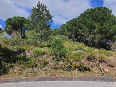Acheter Terrain 465 m2 Ourem