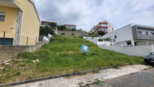 Acheter Terrain Olival-basto rgion LISBOA