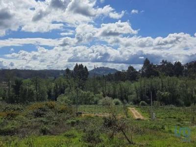 Annonce Vente Terrain Ourem
