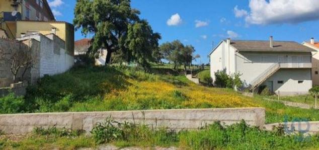 Annonce Vente Terrain Castelo-branco