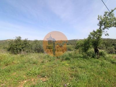 Annonce Vente Terrain Loule