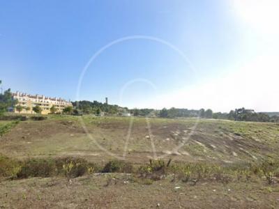 Acheter Terrain 4203 m2 Torres-vedras