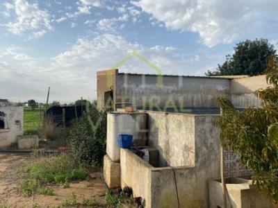 Acheter Maison Olhao rgion FARO