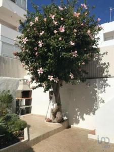 Louer Maison Alcantarilha rgion FARO
