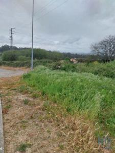 Acheter Terrain Argoncilhe rgion AVEIRO