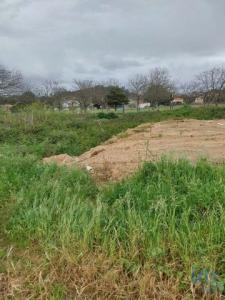 Acheter Terrain Argoncilhe rgion AVEIRO