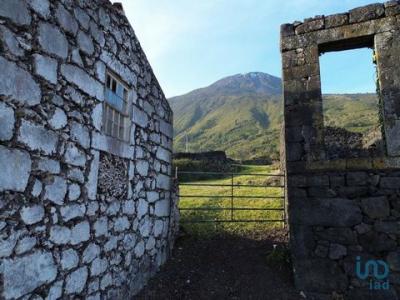 Acheter Maison Madalena rgion ACORES