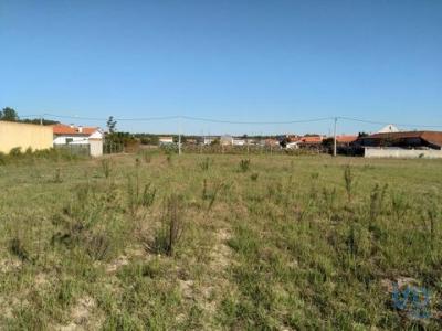 Acheter Terrain Agua-formosa rgion LEIRIA