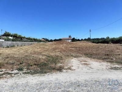Acheter Terrain 2600 m2 Penafiel