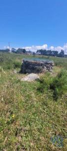 Acheter Terrain Odemira rgion BEJA
