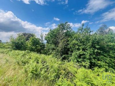 Vente Terrain Anceriz CAJA-E-BARRIL-DE-ALVA 06
