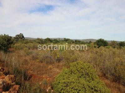 Acheter Terrain Albufeira