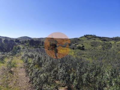 Acheter Terrain 32767 m2 Tavira